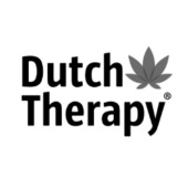 dutch dutch